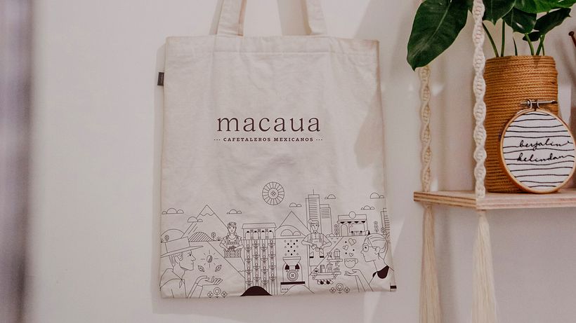 Macaua 14