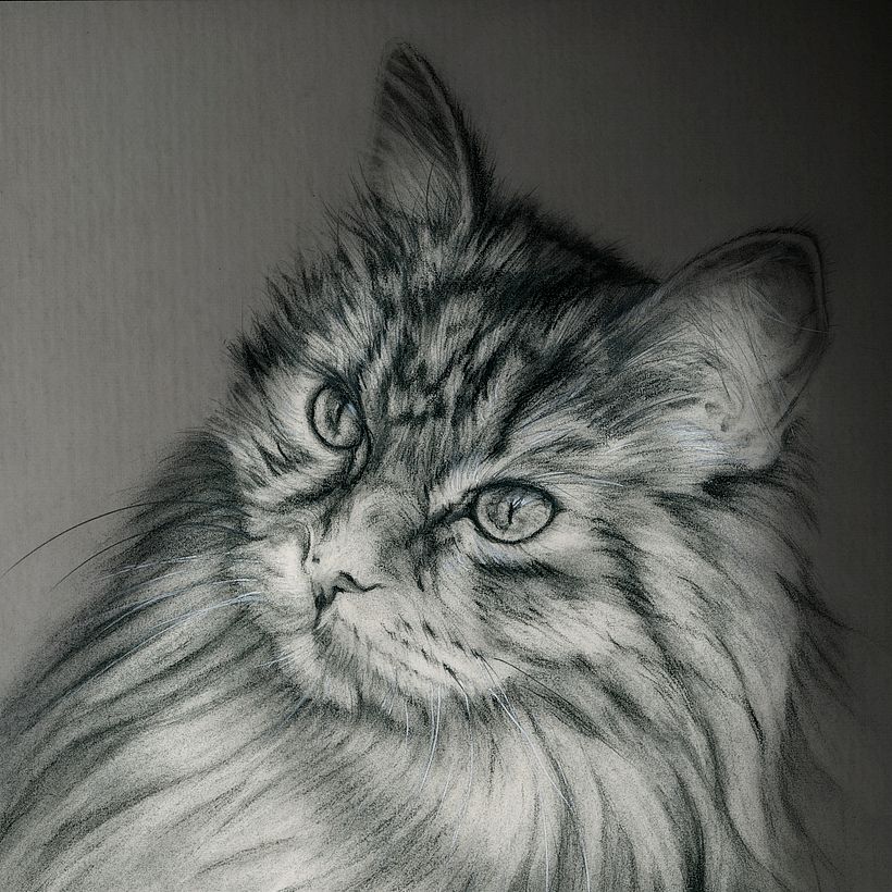 Portrait au fusain, détail. Fond gris dégradé + texture ajoutés avec Affinity Photo. Image de Free-Photos de Pixabay.