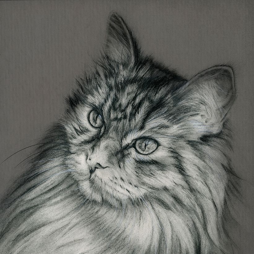 Portrait au fusain, détail. Fond gris + texture ajoutés avec Affinity Photo. Image de Free-Photos de Pixabay.