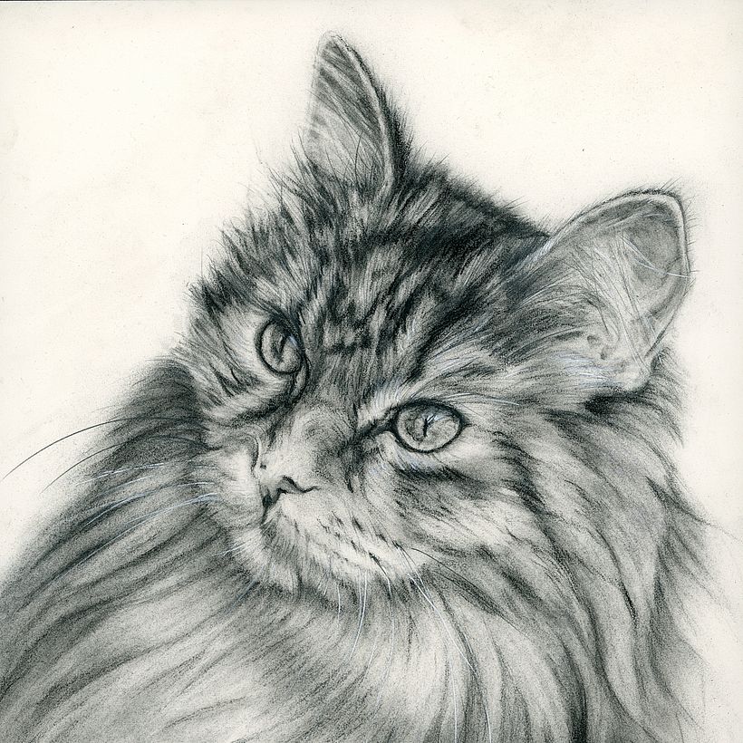 Portrait au fusain, détail. Original. Image de Free-Photos de Pixabay.