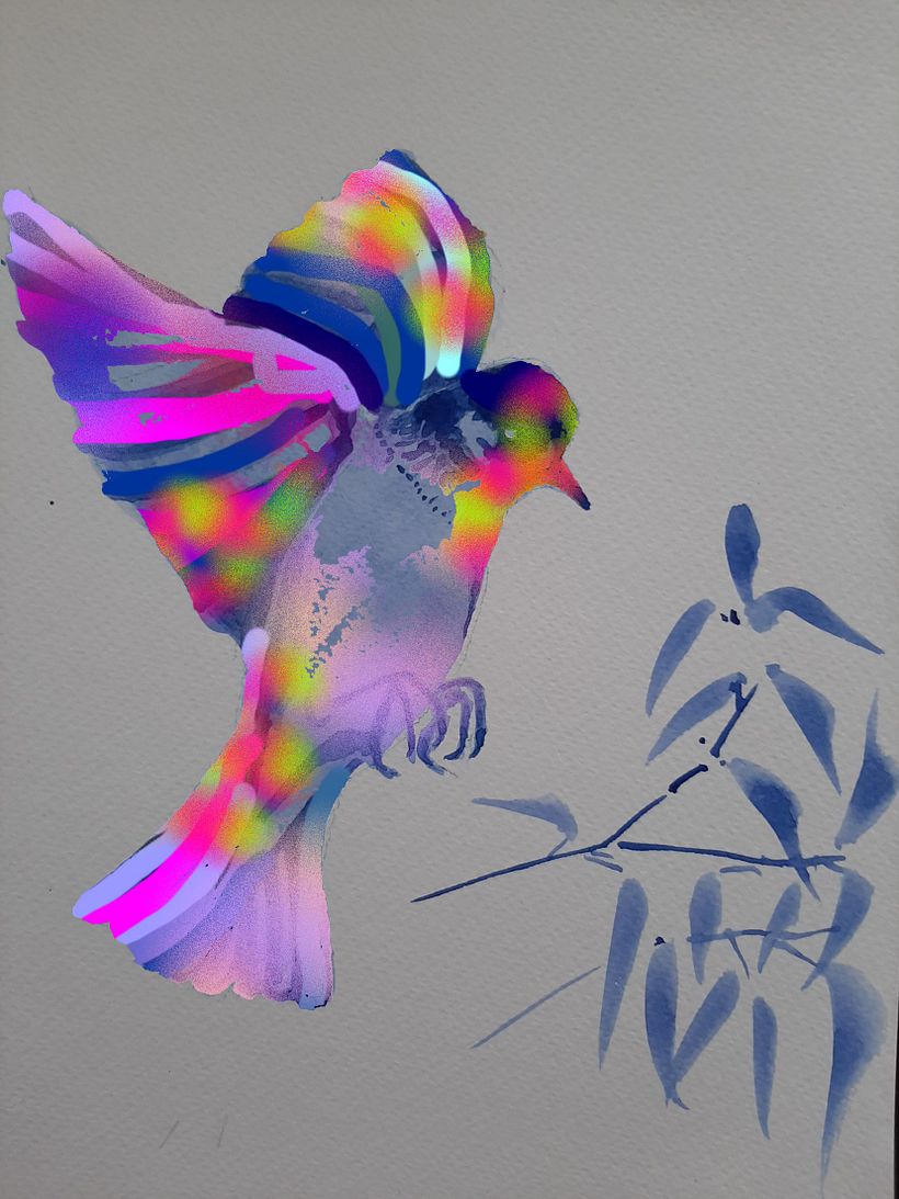 PAJARO 1