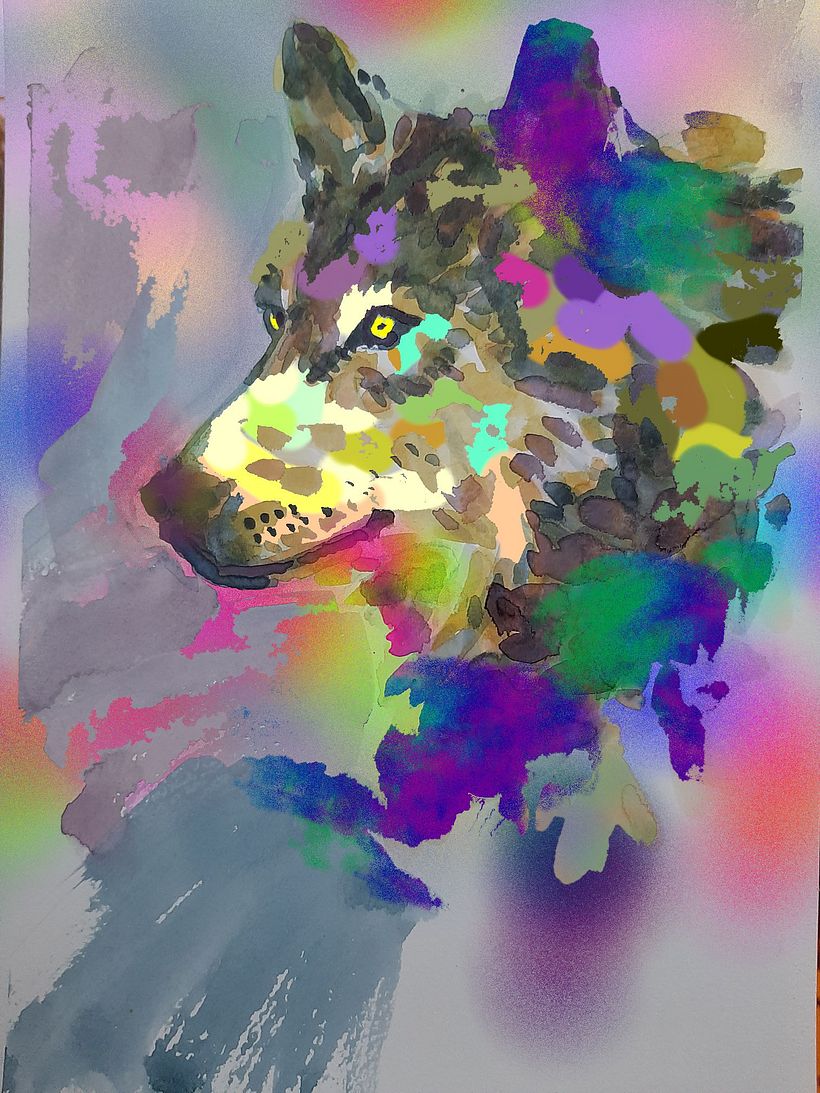 WOLF 1