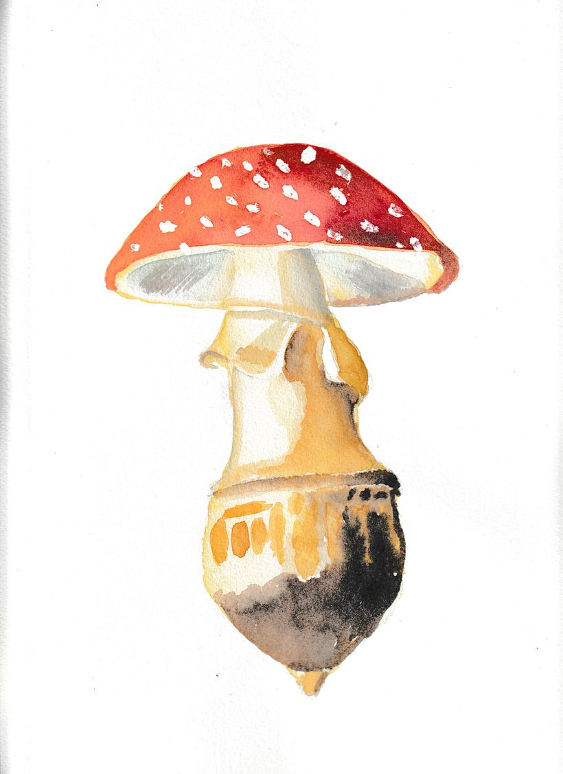 Fliegenpilz