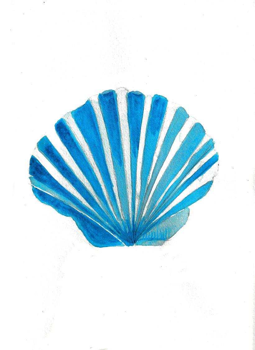 Muschel