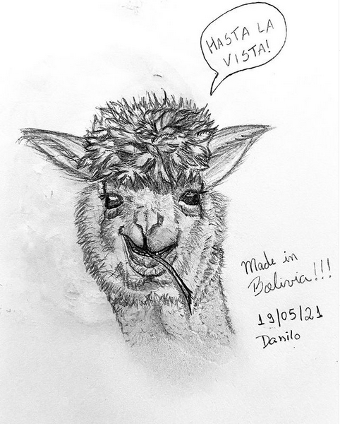 Alpaca Boliviana -  Desenho e pintura à mão (sketchbook)