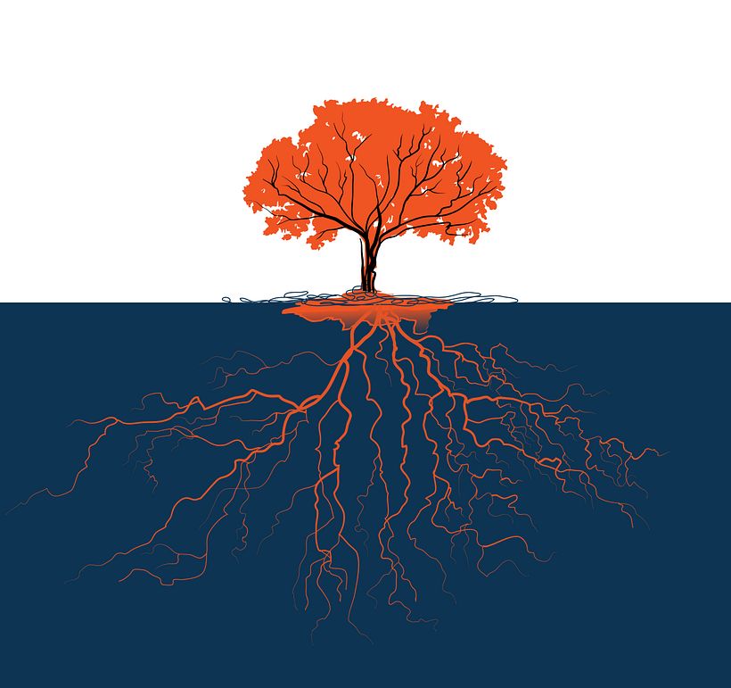 Visual Brand System for Blue Umbrella 5