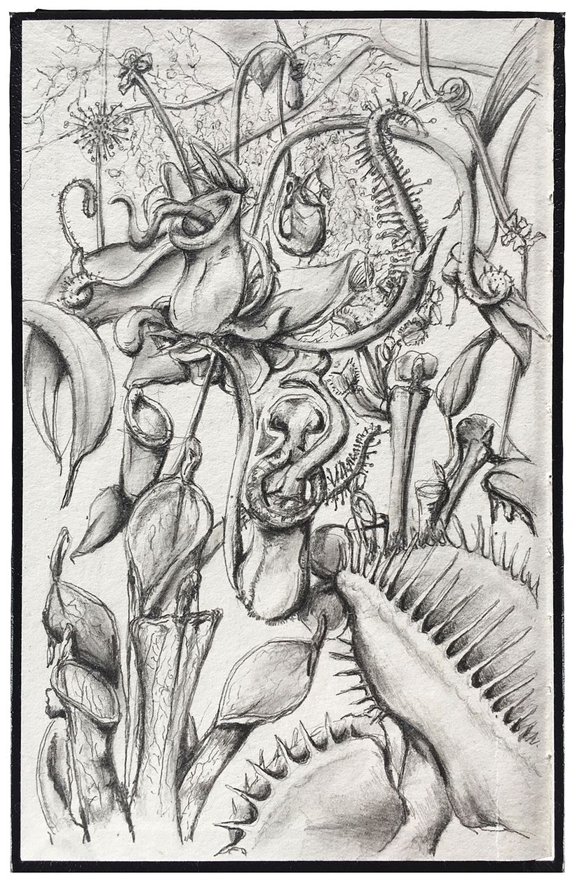 My favorite plants... 1