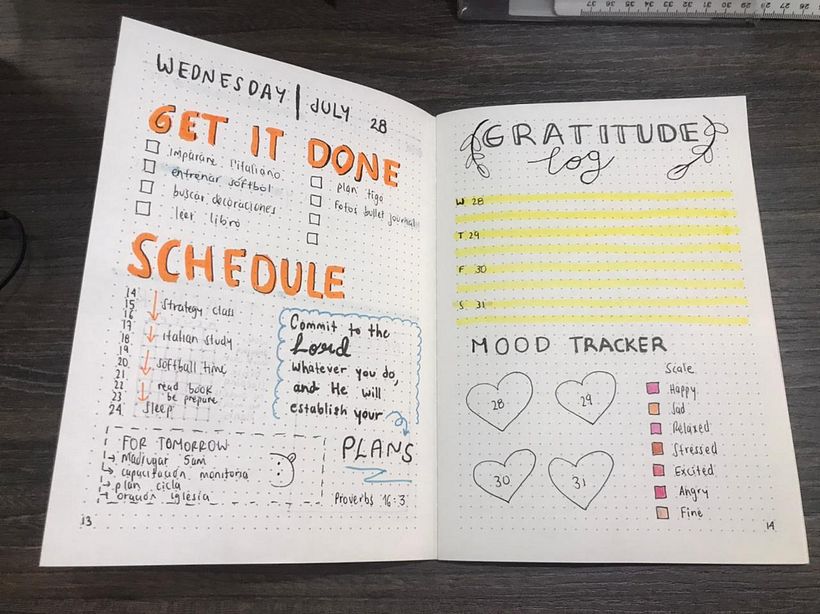 daily & gratitude log + tracker
