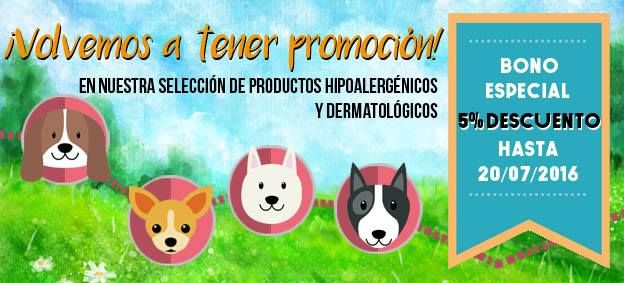 DISEÑO GÁFICO / GRAPHIC DESIGN 1