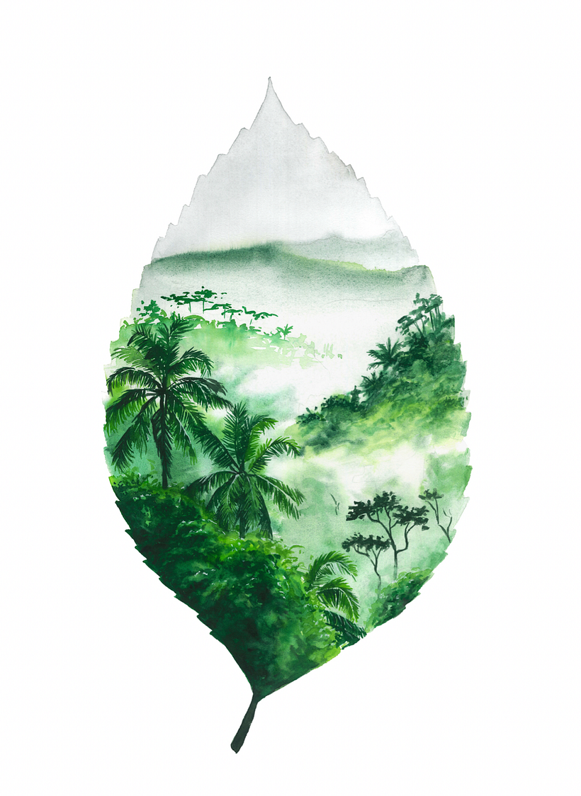 Double Exposure Aquarell Die Elemente 4