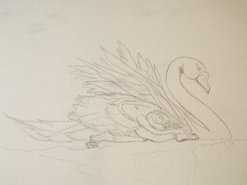 The lace original drawing in charcoal pencil