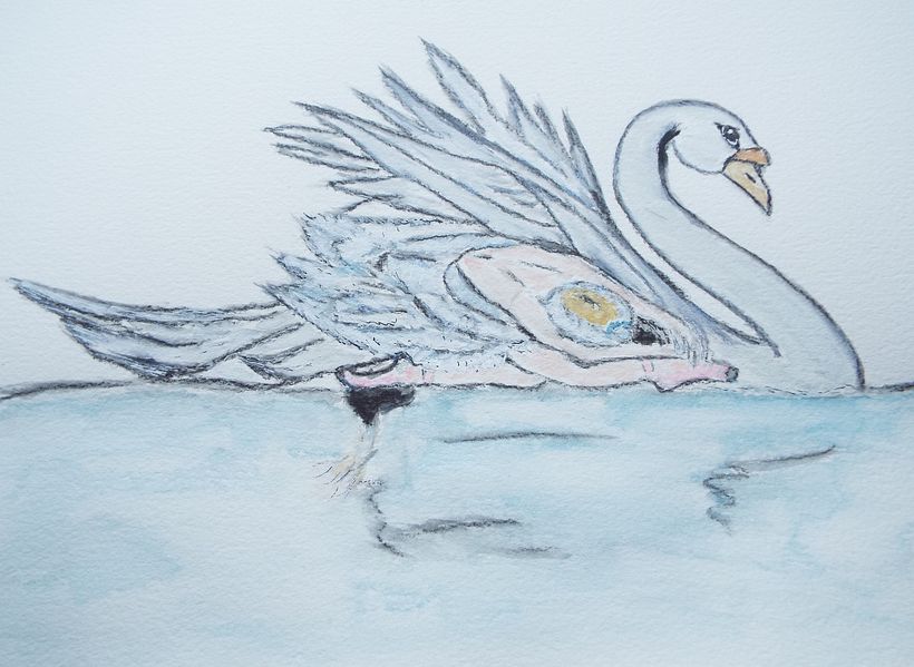 The final painting...soul of the swan by D Smith July 2021