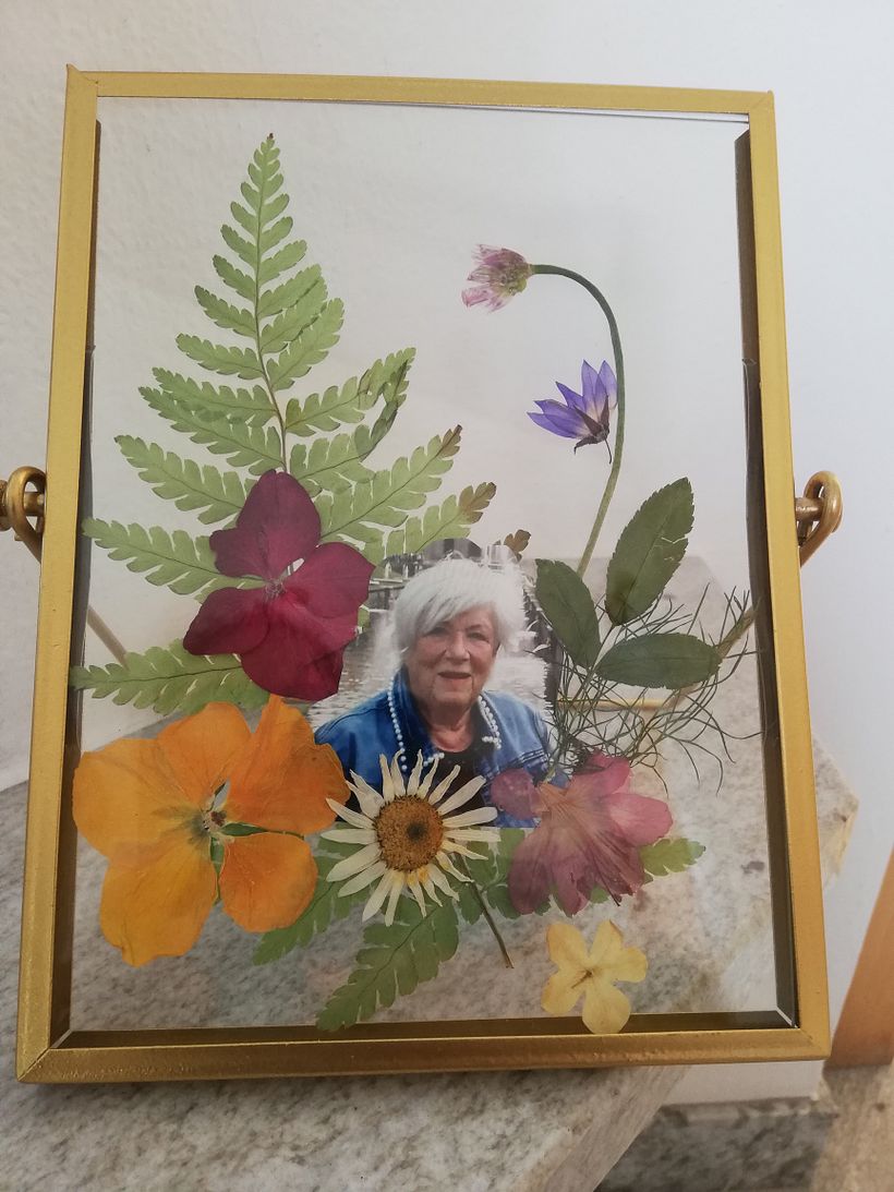 Mi primer proyecto.  2