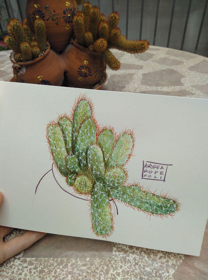 Mi Proyecto del curso: Sketchbook botánico: una aproximación meditativa 5