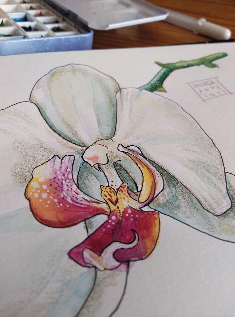 Mi Proyecto del curso: Sketchbook botánico: una aproximación meditativa 7