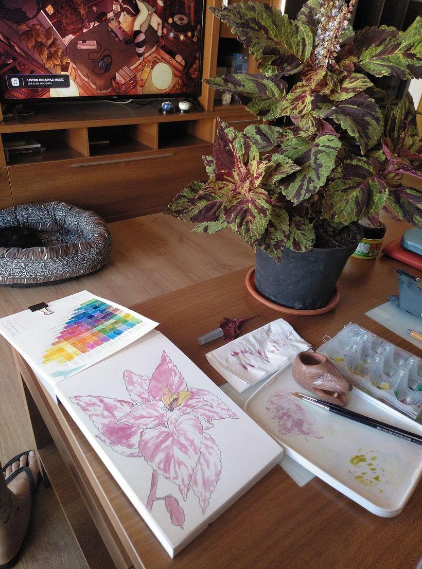 Mi Proyecto del curso: Sketchbook botánico: una aproximación meditativa 8
