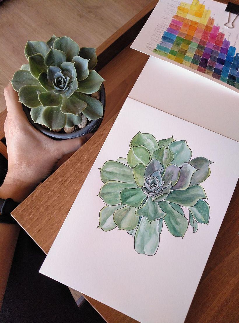 Mi Proyecto del curso: Sketchbook botánico: una aproximación meditativa 10