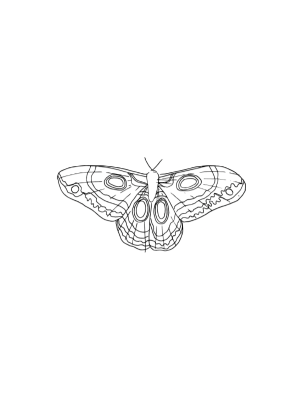 One of the 8 templates included in the download.