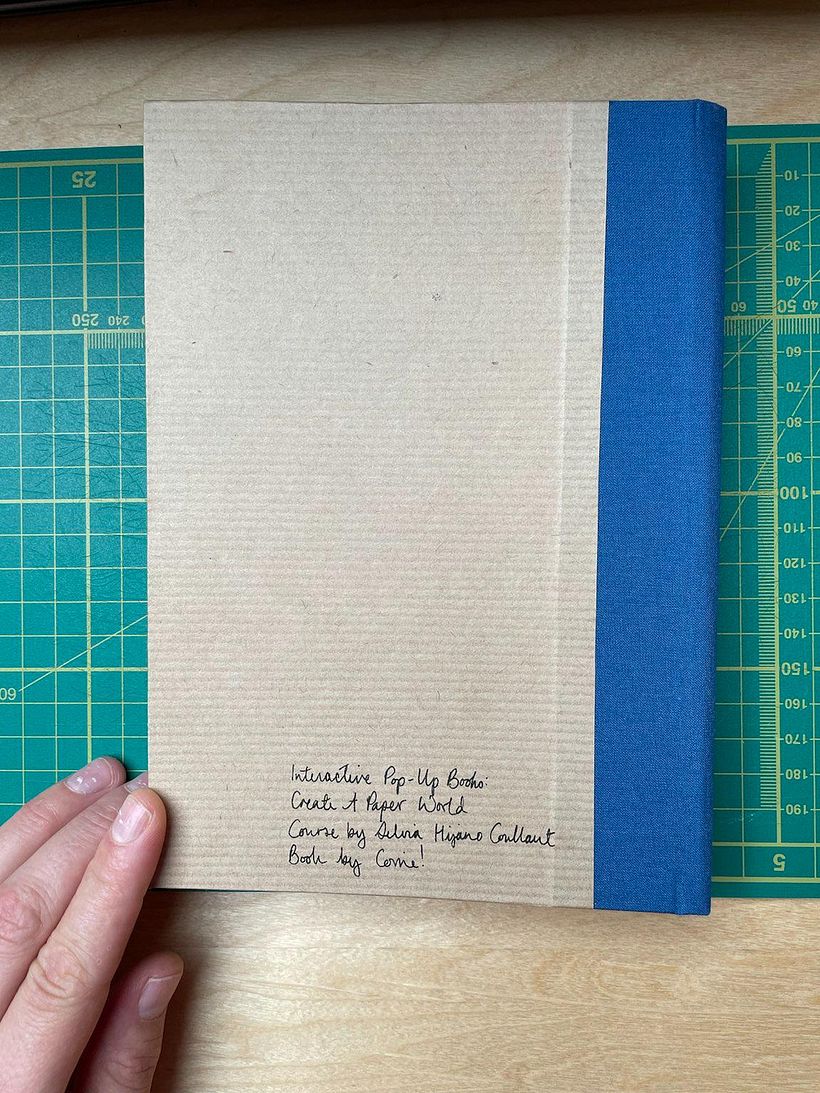The back cover.