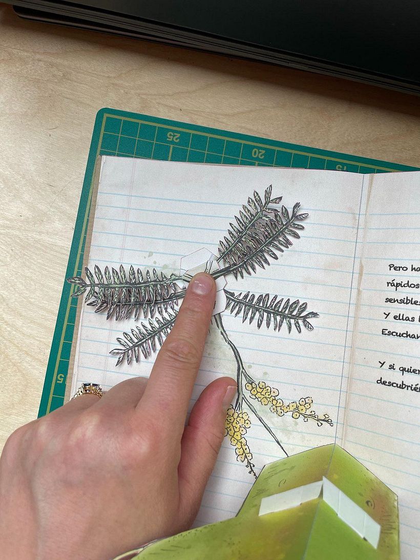 Mimosa on Page Two