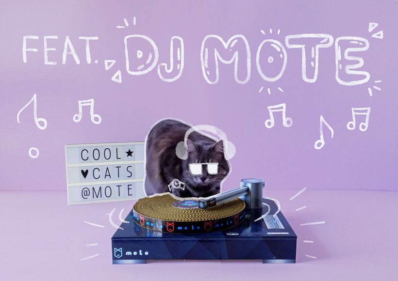 Mote - rascadores para gatos  6