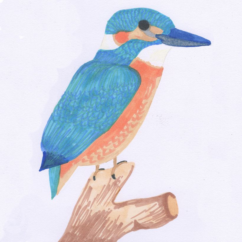 My bird drawing from a reference image