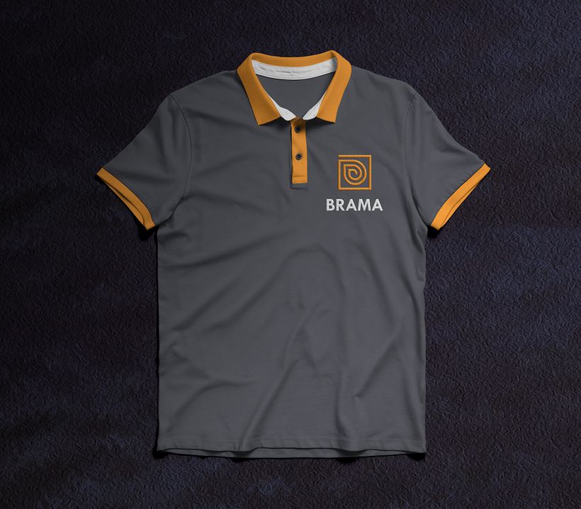LIMPIEZAS BRAMA concept logo 6