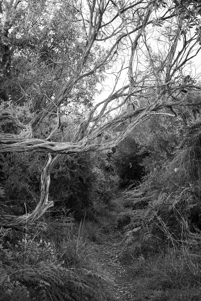 Return to nature