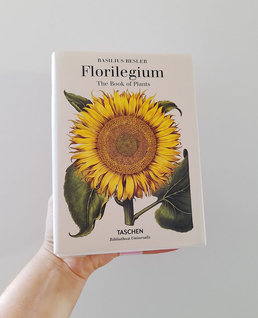 MarArtesOficial - Livro: Florilegium - The Book Of Plant - (Usado em meu estudo e inspiração de artes).