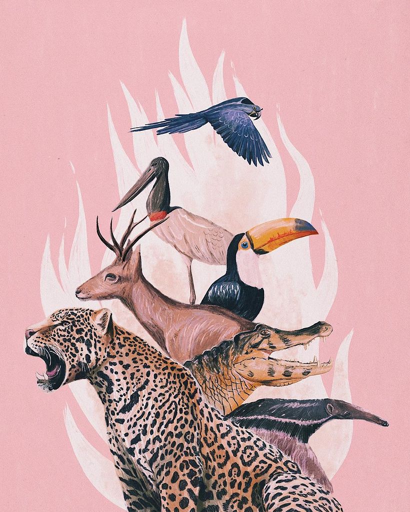 Queimadas no Pantanal • Brasil 1