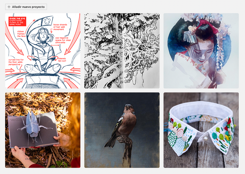 Projects published by the Domestika community