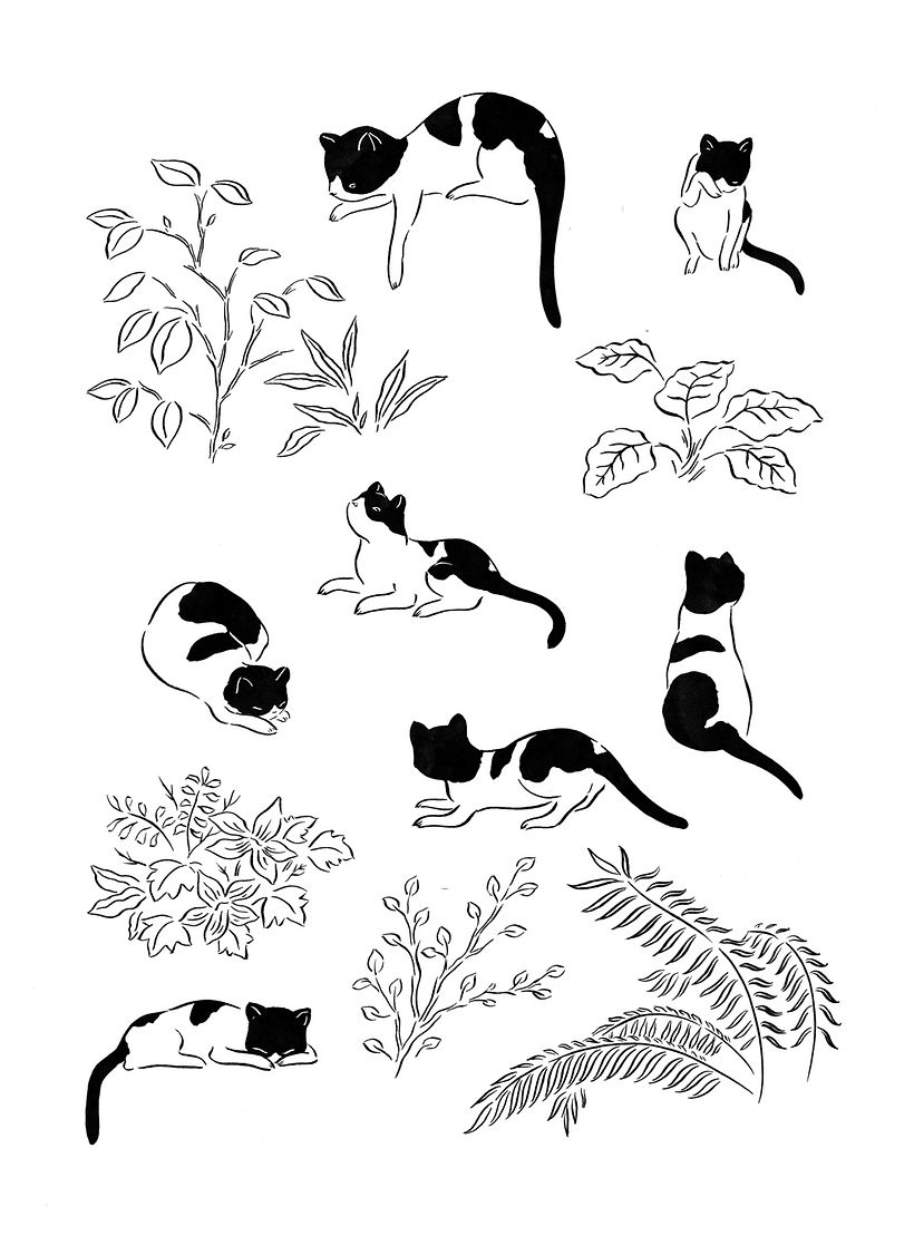 El ingrediente secreto. Periplo Ediciones. 4