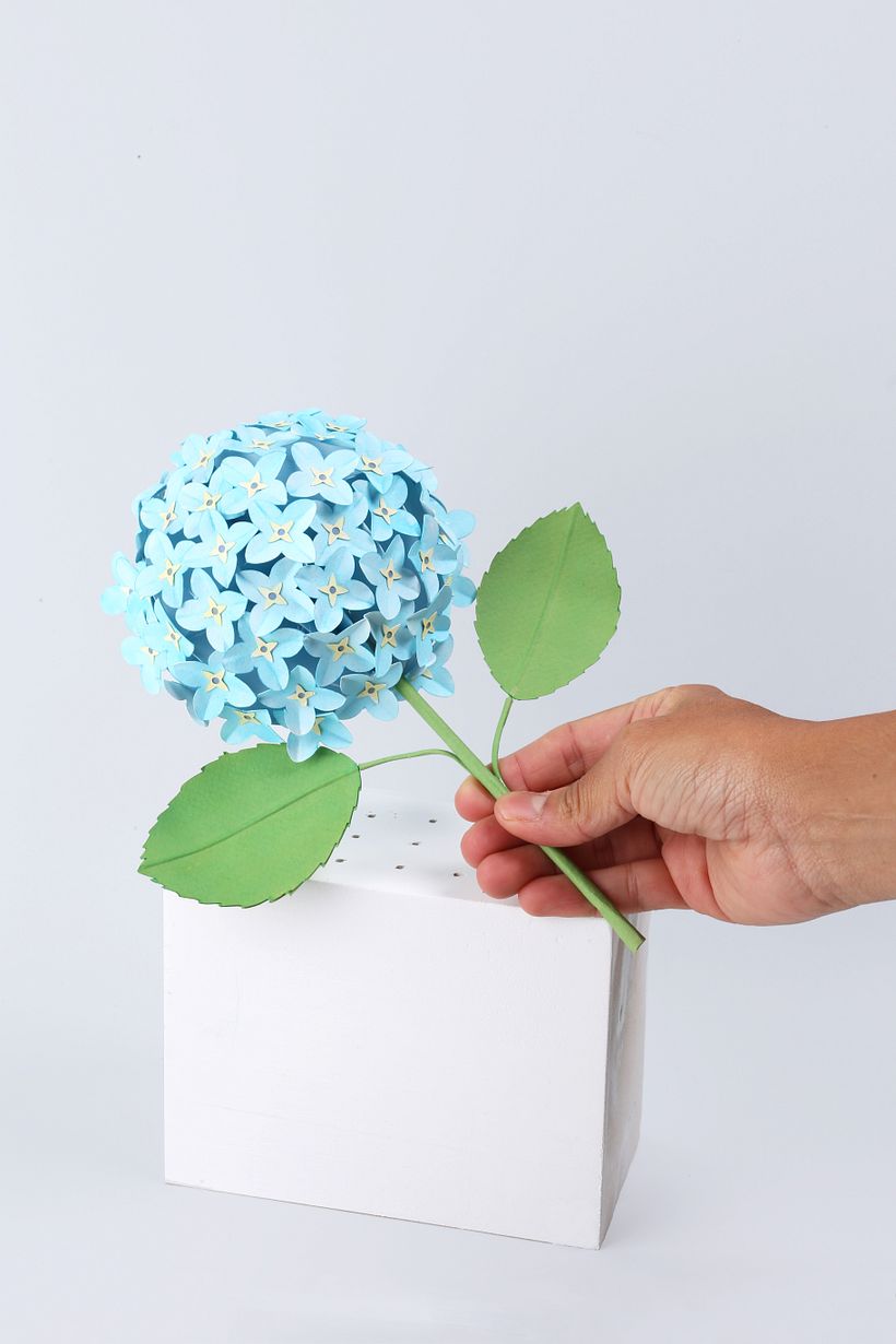 One of the botanical pieces.