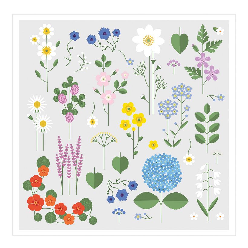 First sketch. Just the botanical pieces. Using simple elements, geometry and simple colours.
