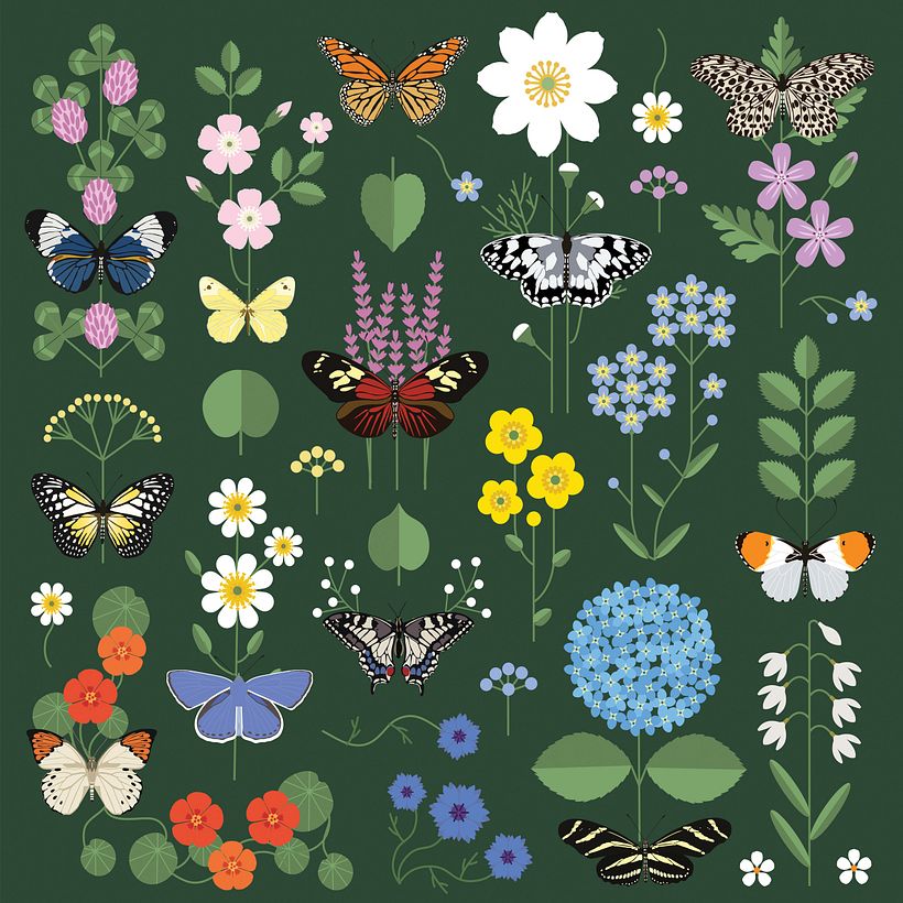 Butterflies and botanical pieces. Final sketch. 2020