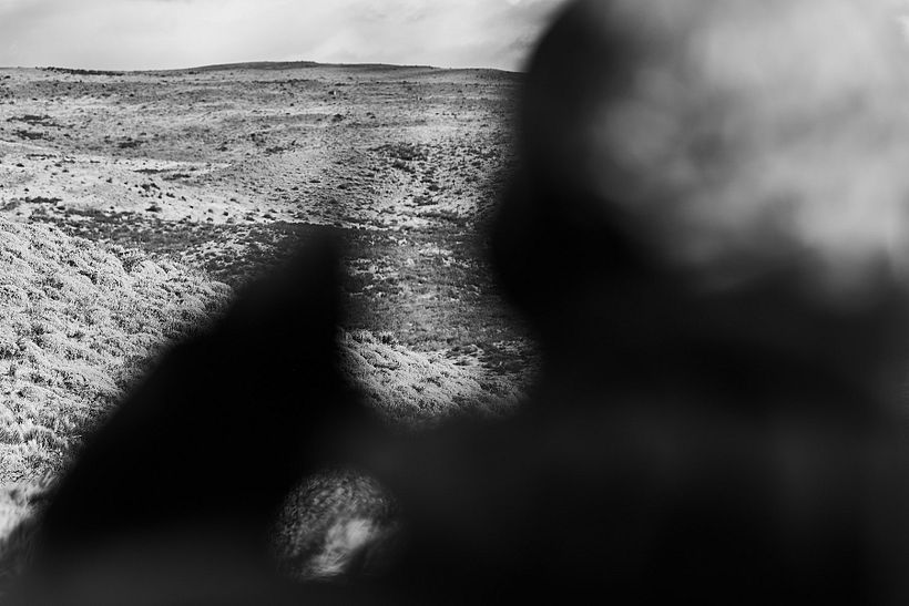 Chasing Pumas | Leona Amarga 10
