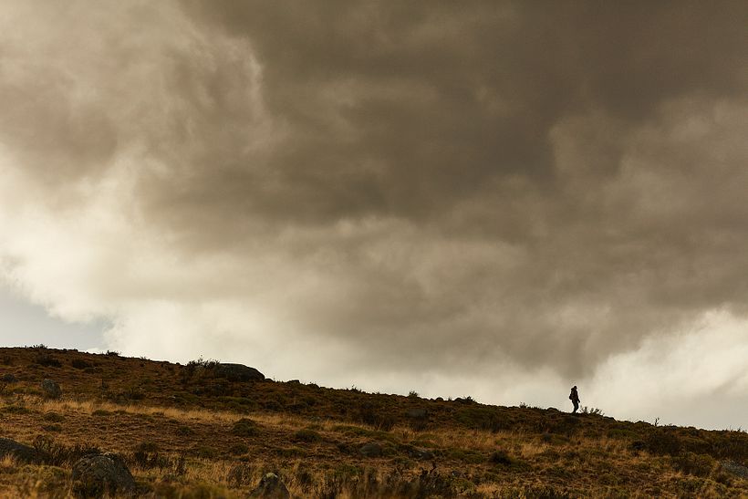 Chasing Pumas | Leona Amarga 12