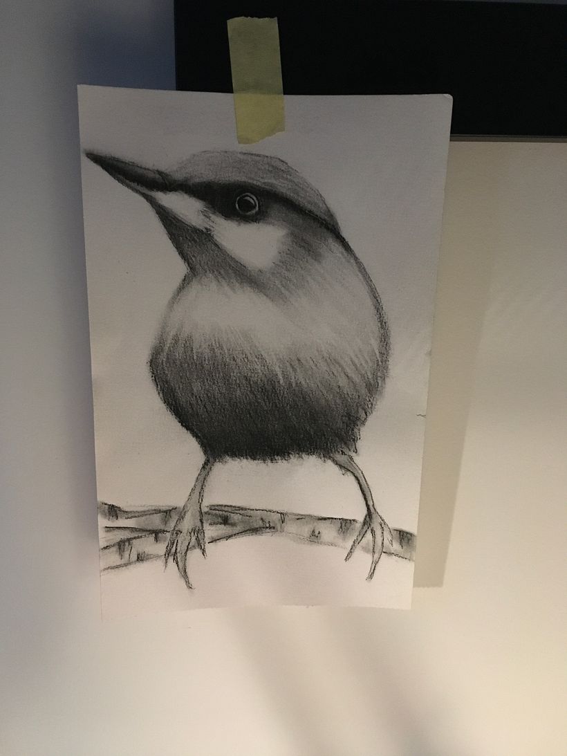 My project in Artistic Watercolor Techniques for Illustrating Birds course 3
