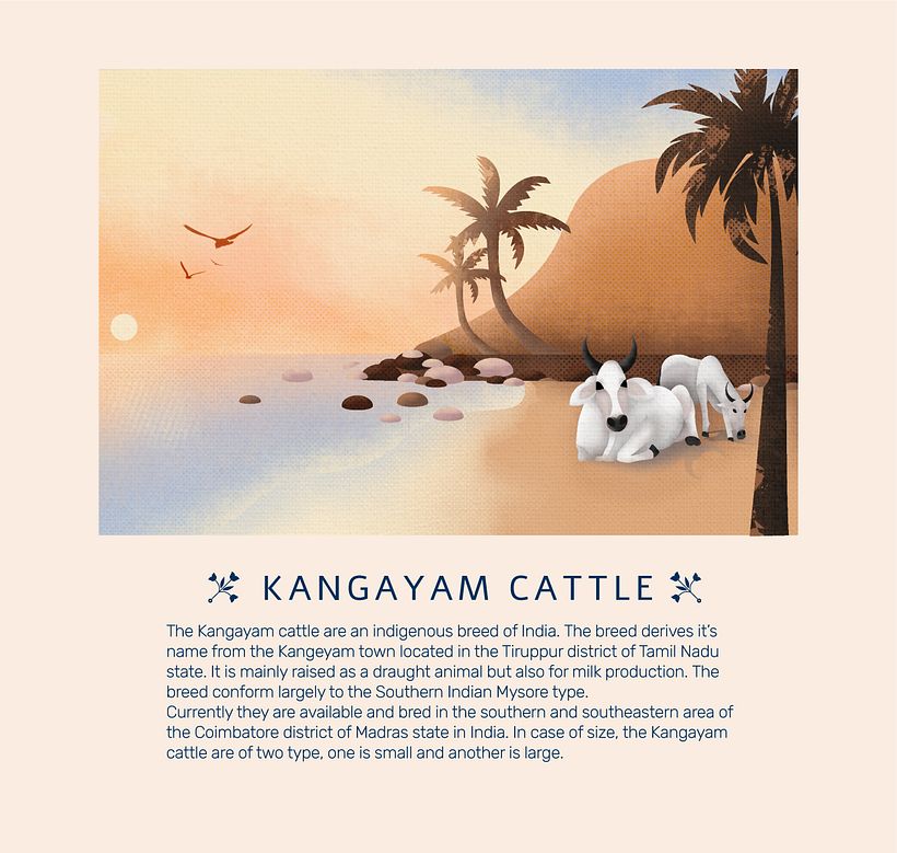 My project in Wildlife Illustration for Children's Books course 2
