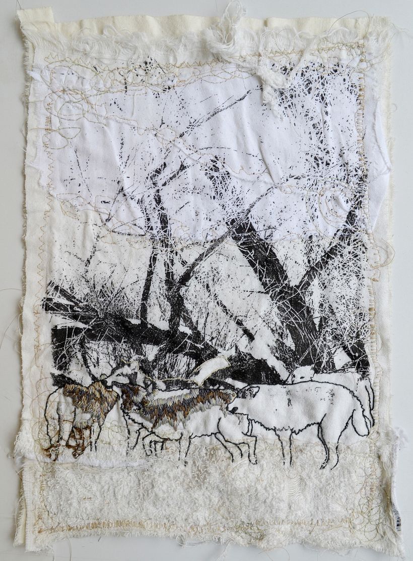 Manada Blanca, por Gimena Moreno.