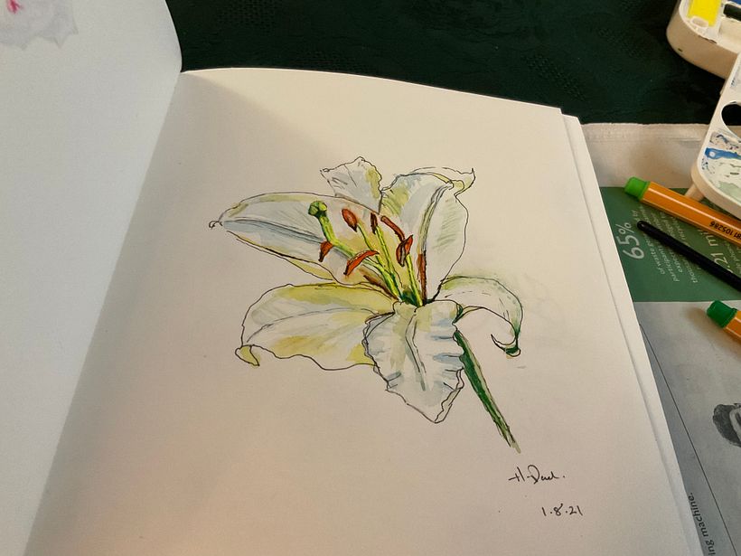 Lilly