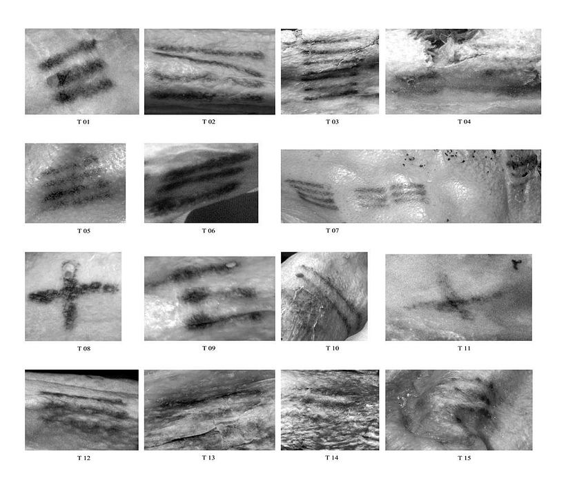 Some of Ötzi’s tattoos.
