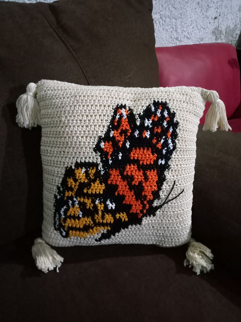 Intarsia crochet  2