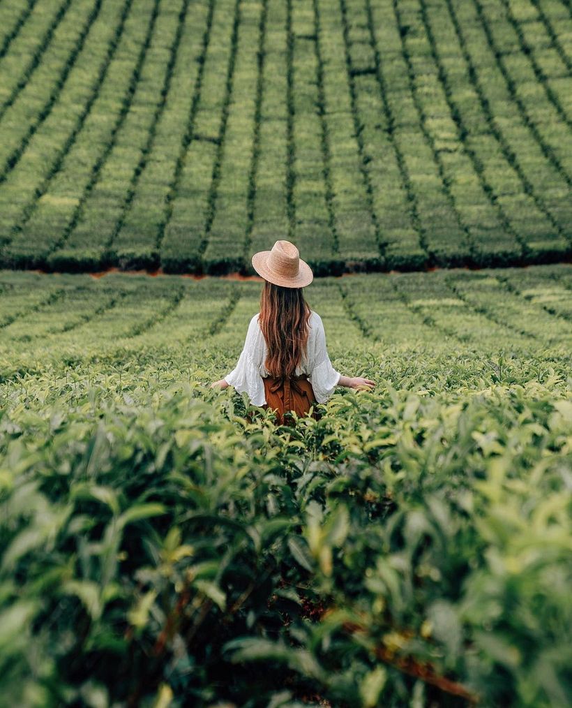 Fotografía de Emilie Ristevski.