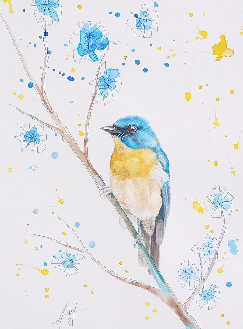 Proyecto Acuarela artística para aves: Varios pájaros | Domestika, image size:820x1109