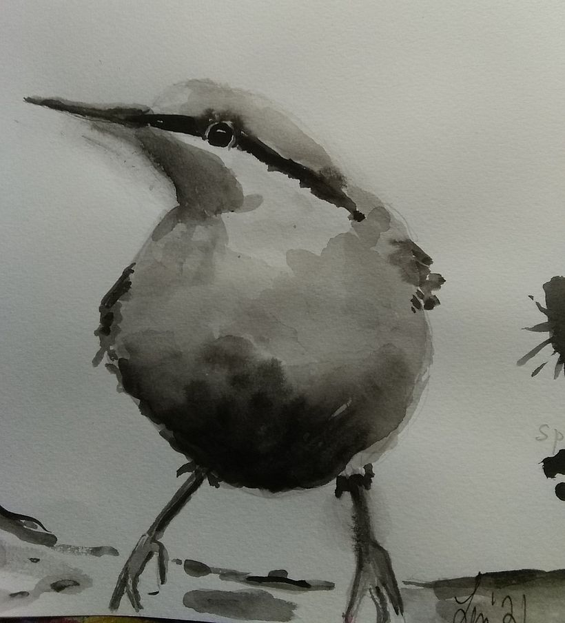 My project in Artistic Watercolor Techniques for Illustrating Birds course 2
