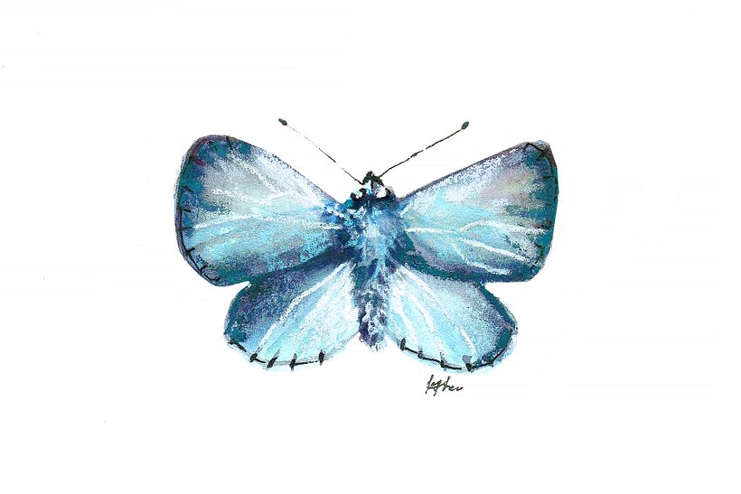My project in Naturalist Bird Illustration with Watercolors course 3