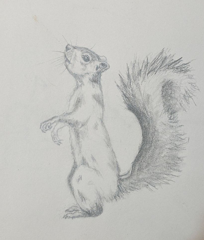 Final squirrel pose (hands might change)