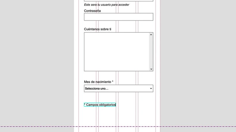 Axure Tutorial: How to Create an Interactive Form 11