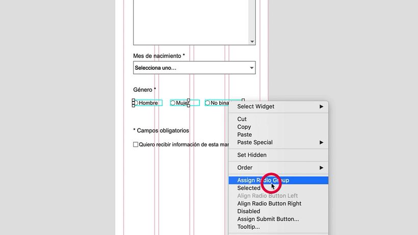 Axure Tutorial: How to Create an Interactive Form 14